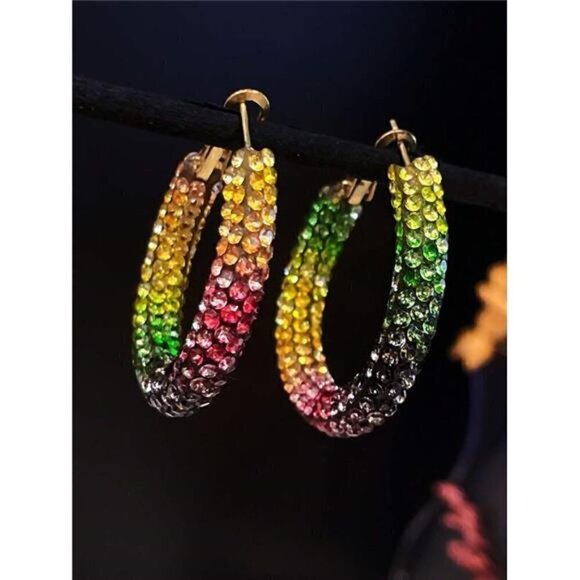 Multicolor Hoop Earrings - Picture 4 of 6